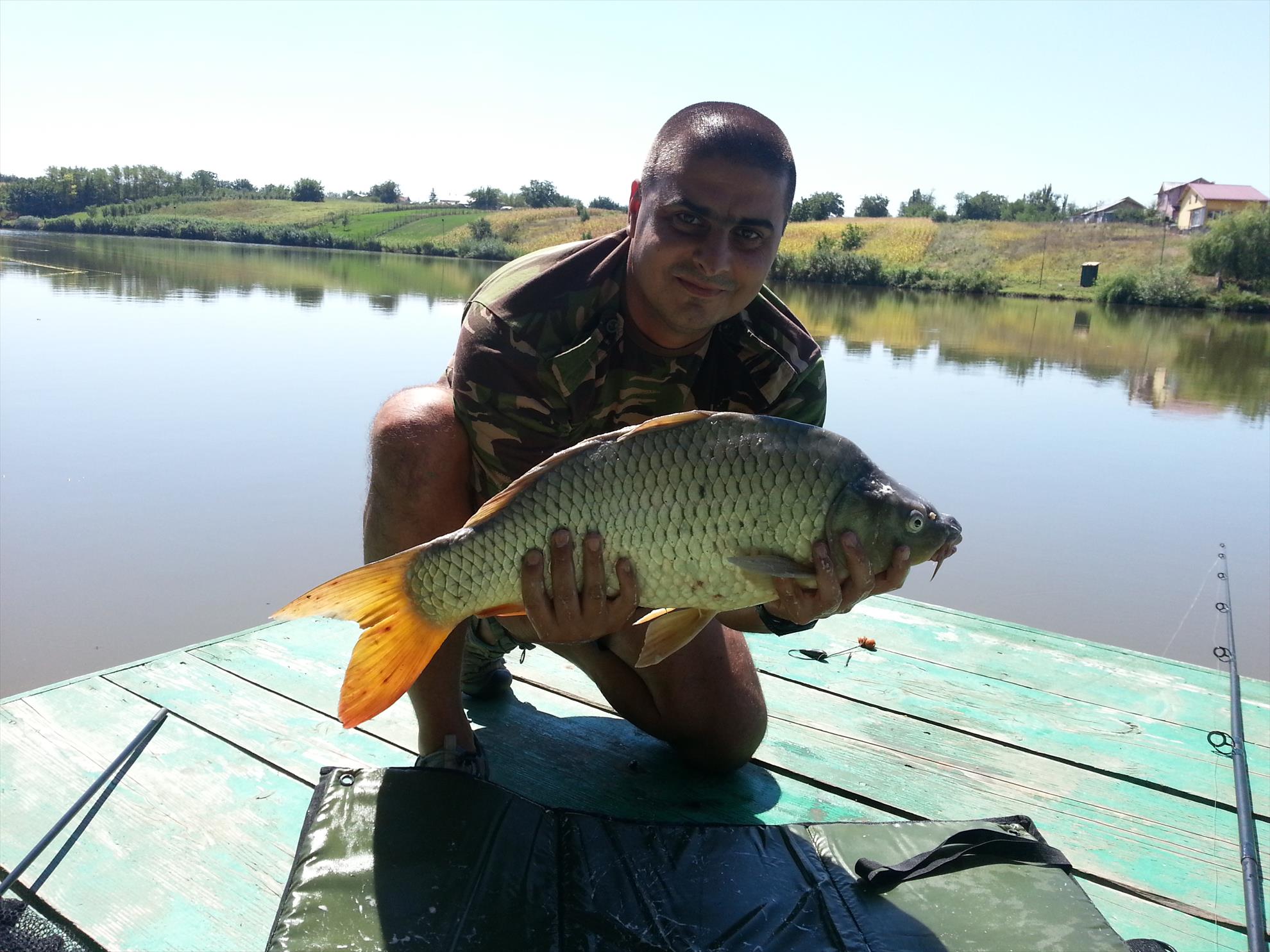 MV 2, 15.08.2012 - 20120815122045.jpg